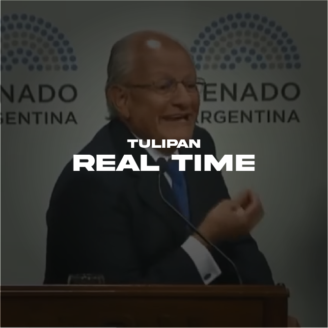 Tulipán – Real Time